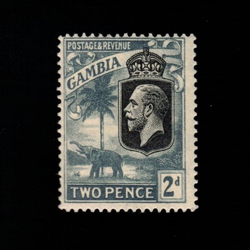 Gambia, Scott 105, King George V & Elephant, 1922-1927, MH