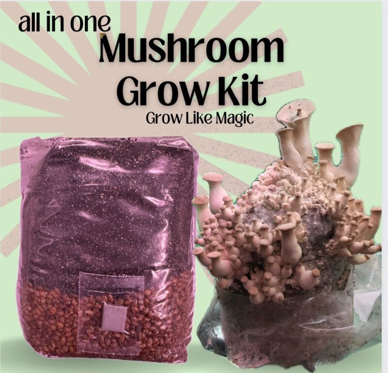 5lb CVG Mushroom Grow Bag (coco, verm, gyp) - Dung Loving Mushroom Substrate
