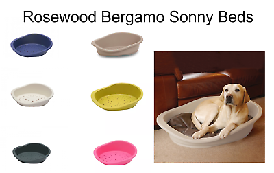 Plastic dog beds clearance ebay