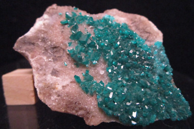 Bright Deep Emerald Green Dioptase Crystals on Matrix Sanda Mine Congo