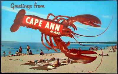  Greetings from Cape Ann, Mass.  Giant Lobster, Beach, Sunbathers, Mass.