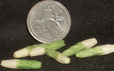 Romaine Lettuce #8128 1:12 Food Garden Farm Market Mini Produce Crate Vegetables