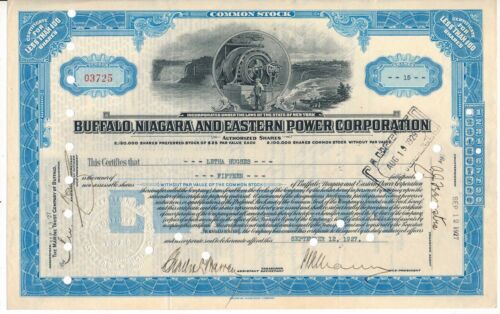 Buffalo Niagara & Eastern Power Stock Certificate, ABNCo, Niagara Falls, revenue
