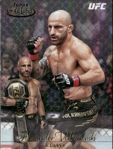 UFC　王者　アレクサンダー・ヴォルカノフスキー　ゴールドカード　psa10 UFC 王者 アレクサンダー・ヴォルカノフスキー ゴールドカード