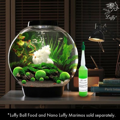 Luffy 3 Giant Living Marimo Moss Balls (~2 Inches) + 1 Nano Marimo Free! Live...