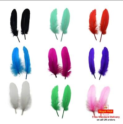 ATST® 10 Solid Colour Goose Feathers - for Craft Cards Floristry Hats 15-20cm