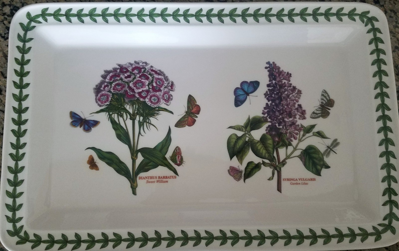 Portmeirion Botanic Garden 16 1/8