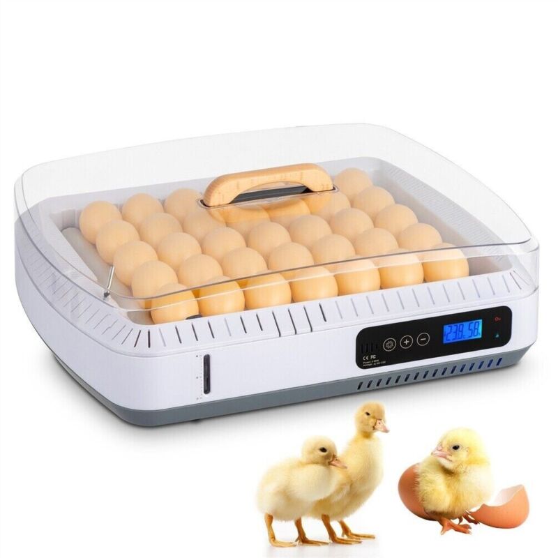 Premium 35-Egg Incubator with Automatic Turning, Temperature Control
