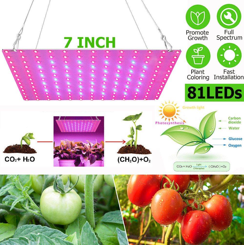 Hanging Full Spectrum Light Indoor Plants Flowers Veg Growing