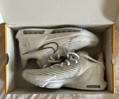Men Size 11 - Nike LeBron Witness 6 (Summit White / Light Bone)