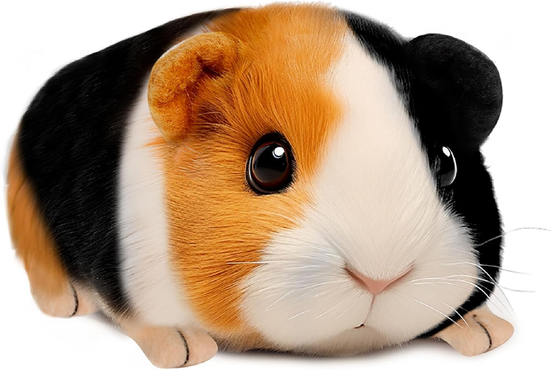 Guinea Pig Stuffed Animal, Cute Guinea Pig Plush for Kids, Realistic Stuffed Ani