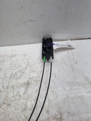 Picture 3