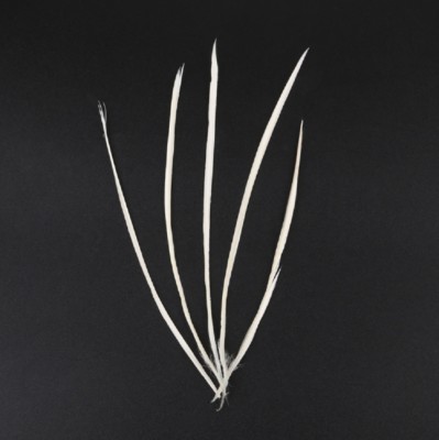 Long Goose Boit Feathers Crafts Hats Fly Fishing Tying Flower Arranging 14-20cm