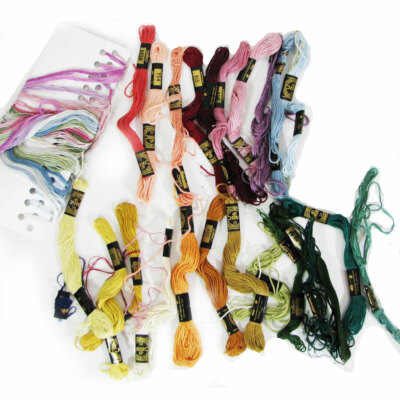 23 Skeins DMC French Embroidery Thread, 1 Card Derwentwater Anchor