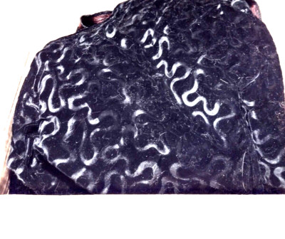Black Velvet Fabric Swirl, 4 Yards, Dry Clean
