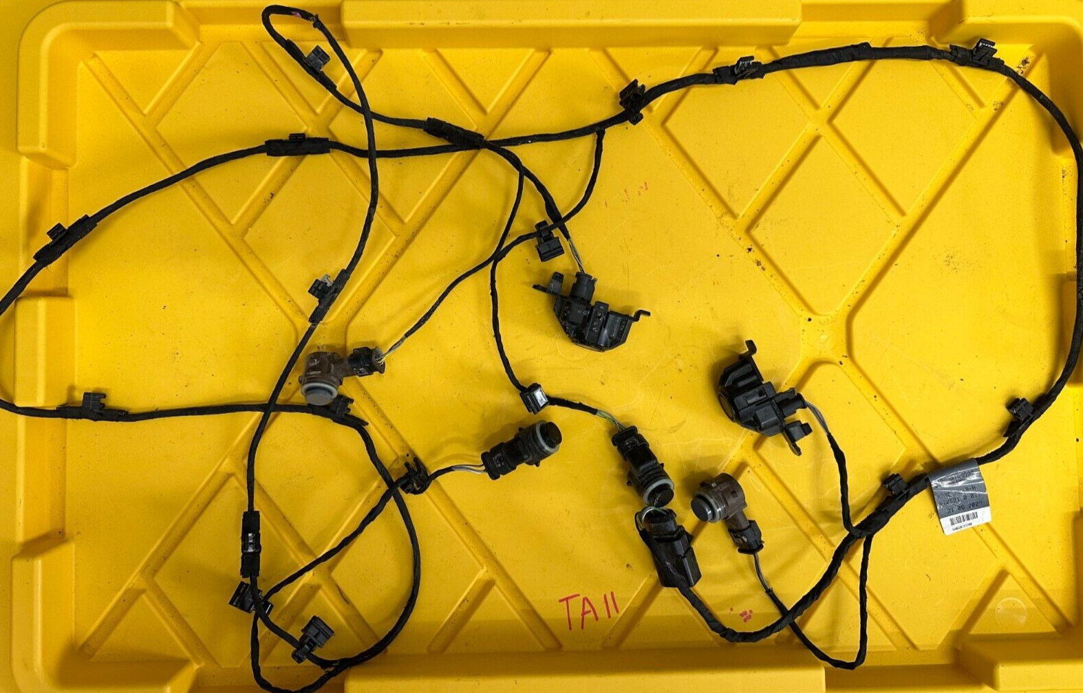 Kaa AC2064 バーニー M _57.JPG?set_id=880000500F