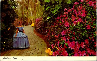 Cypress Gardens FL Azalea Flowers and Girls Postcard unused (11554)