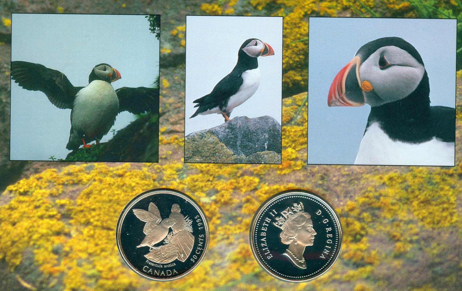 1995 CANADA PUFFIN & WHOOPING CRANE SILVER PROOF 50 CENTS SET
