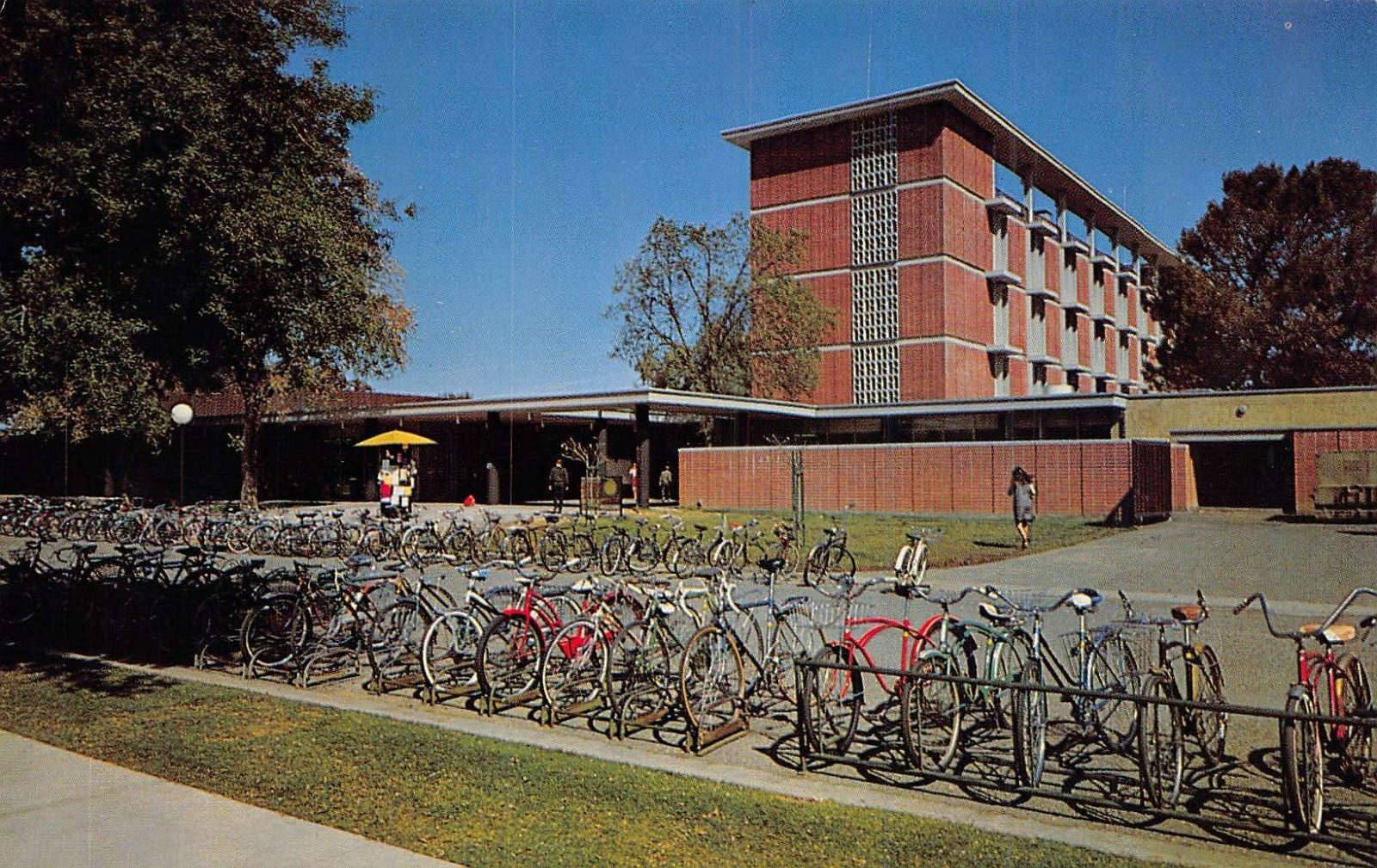 DAVIS CA~UNIVERSITY MEMORIAL UNION BUILDING-LINE OF BICYCLES
