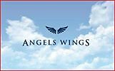 Angels Wings Transport