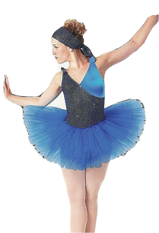 Adult Large Harlequin Ballet Tutu Dance Costume
