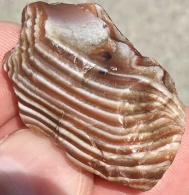 .5 Oz Lake Superior Agate TOP SHELF High Contrast Eye Fully Banded Lsa