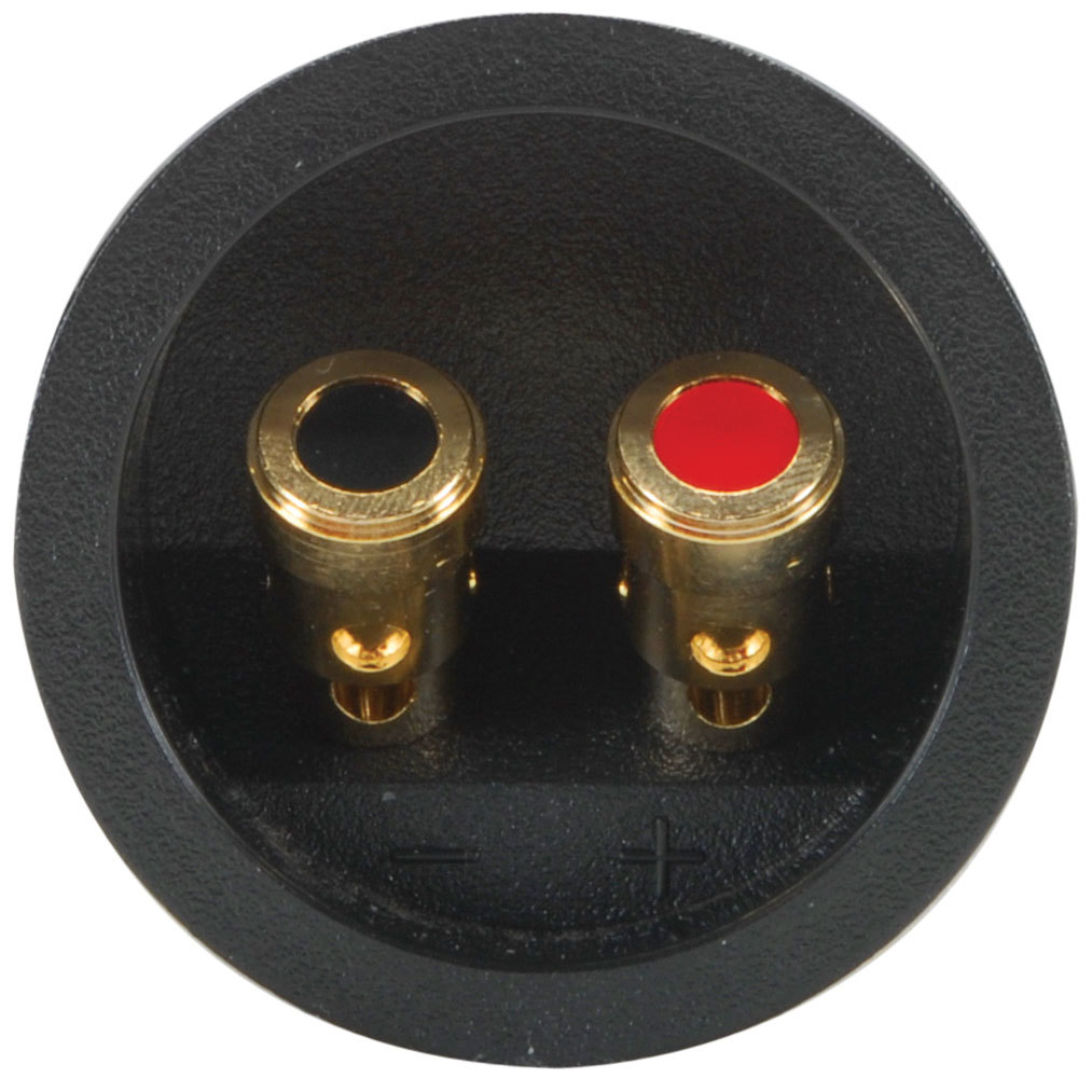 Pressfit Speaker Terminal 21/4" Gold SpringLoaded 844632077616 eBay