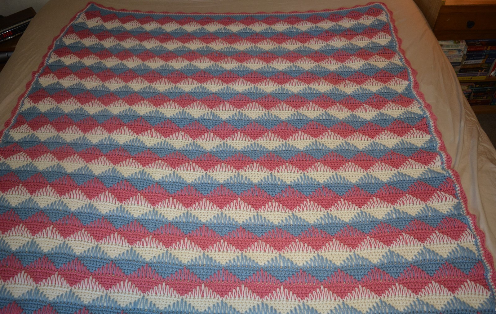 Hand Crocheted Afghan Throw Blanket Twin MINT 62