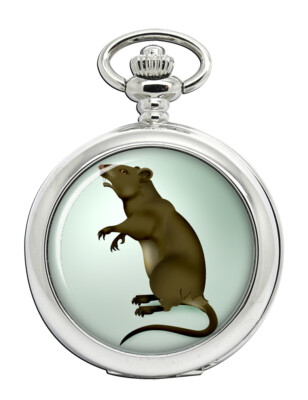 Rat Pocket Watch