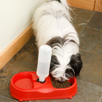 Evelots Premium Pet Feeder With Food Bowl & Automatic Water Refill Bottle, Red