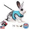 Rat Harness and Leash,Guinea Pig Leash and Harness, Eescape Proof Walking Training for Small Animal Pets,Blue S