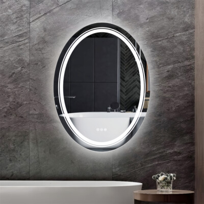LED Bathroom Mirror Oval Wall Vanity Mirror Anti-fog 3 Color Dimmable Dual light
