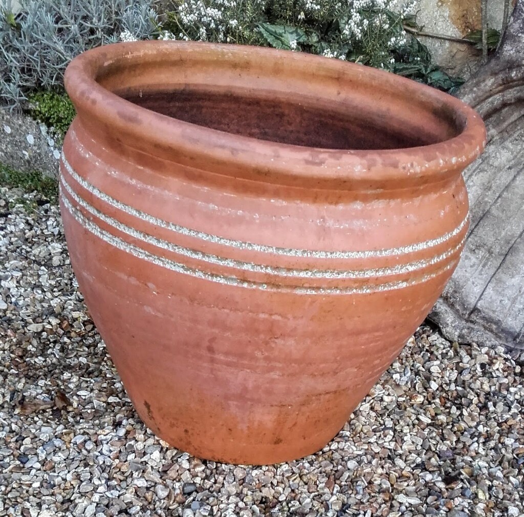 Large terracotta plant pot in Ilminster, Somerset Gumtree