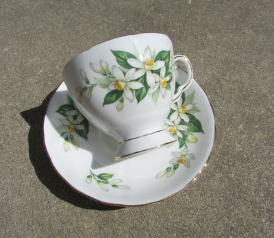Tuscan Fine Bone China Teacup & Saucer Set Bridal Flower Orange Blossom Gold Rim