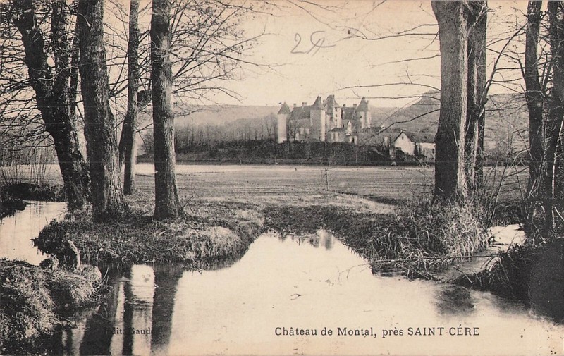 46 Le Chateau De Montal 37939