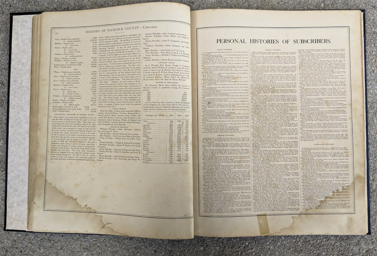 ILLUSTRATED HISTORICAL ATLAS OF HANCOCK COUNTY OHIO Findlay OH 1875 Original Map