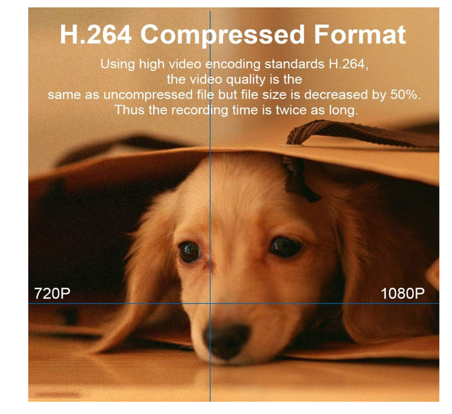 Puppy illustrating H.264 compressed video format comparison.