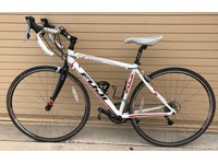 2010 fuji newest 1.0