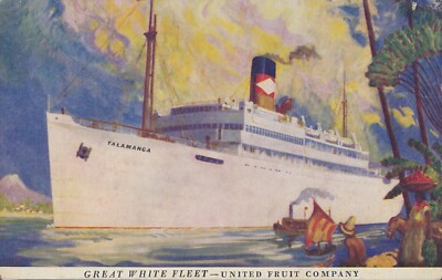 Great White Fleet (Talamanca), United Fruit Co., Unused Vintage Postcard