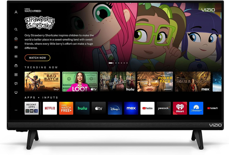 VIZIO 24-Inch D-Series Full HD 1080P Smart TV with Chromecas