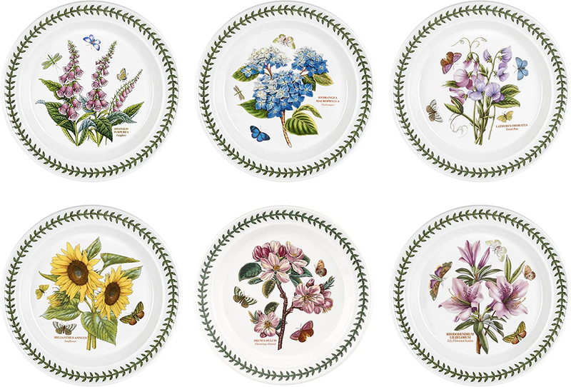 Of 6 Dinner Plates (multicolor)