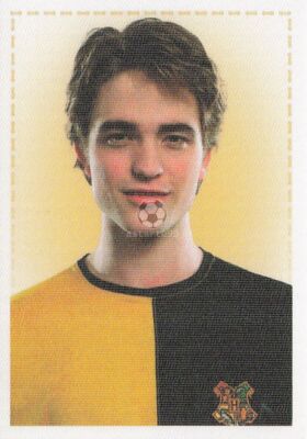 Panini Harry Potter Witches & Wizards Sticker Collection - Choose Sticker -