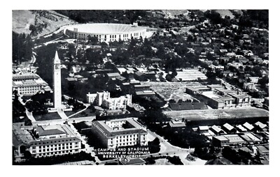 Aerial View University of California Berkeley White Border Postcard Unposted