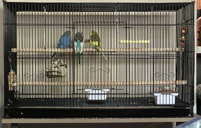 Photos de l'objet d'un acheteur vérifié