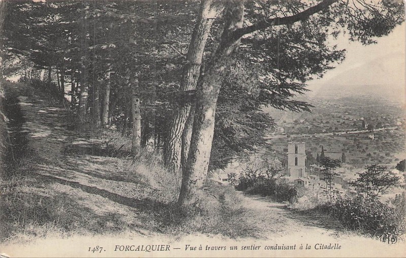 04 Forcalquier Vue A Travers Sentier Conduisant Citadelle - 73500