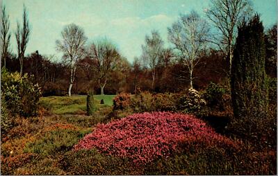 Wisley England RHS Gardens Heather Garden Postcard unused 1970s (8171)