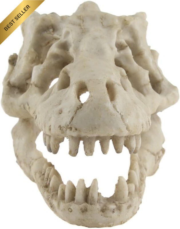 Reptile Hideout Skull Vivarium Aquarium Fish Tank Ornament Cave Decoration