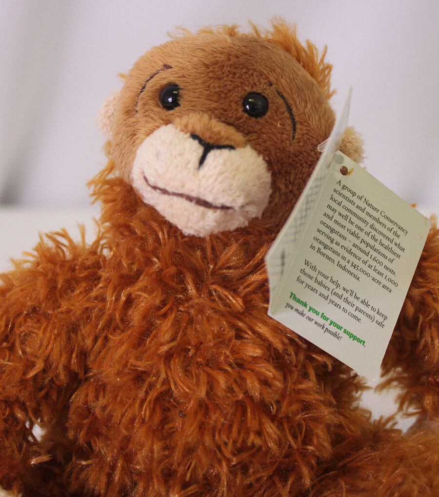 The Nature Conservancy CUTE FUZZY ORANGUTAN 6