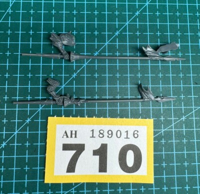 Black Knight Rider Lance Arm Bundle Soulblight Vampire Old World AoS Undead