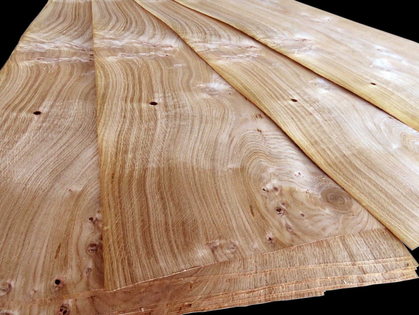 Furnier Test Vergleich     Furnier günstig kaufen!